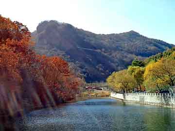 新澳天天开奖资料大全旅游团，不念目录泛